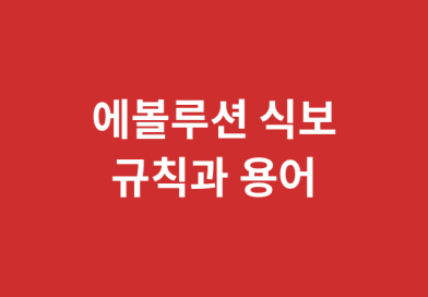 에볼루션 식보 규칙과 용어